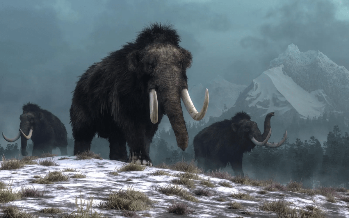 From SSRF to RCE on Mastodon (CVE-2023-42450)